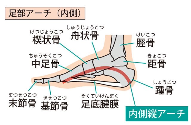 TP大町東整体院・TP大町東鍼灸院,広島市,安佐南区,大町東,整体院,鍼灸院