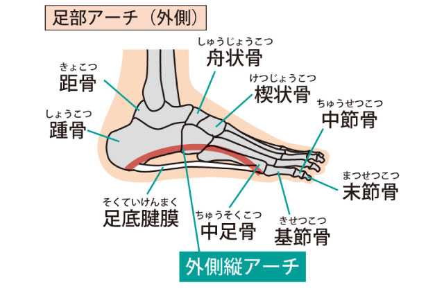 TP大町東整体院・TP大町東鍼灸院,広島市,安佐南区,大町東,整体院,鍼灸院